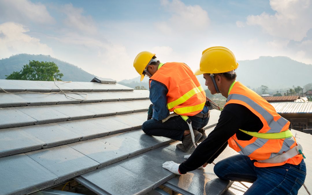 Natural Light Solutions with Skylights Gold Coast QLD for Brighter Australian Homes