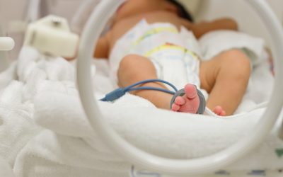 How to Find A Child Care Centre Cessnock NSW That Suits Your Family’s Needs