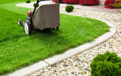 Creating Lush Outdoor Spaces With Quality Garden Supplies Picton NSW Locals Trust